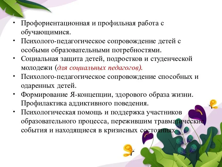 Профориентационная и профильная работа с обучающимися. Психолого-педагогическое сопровождение детей с особыми образовательными