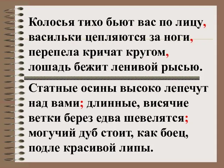 Колосья тихо бьют вас по лицу, васильки цепляются за ноги, перепела кричат