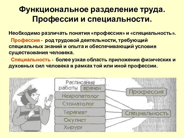 Функциональное разделение труда. Профессии и специальности. Необходимо различать понятия «профессия» и «специальность».