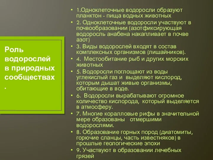 1.Одноклеточные водоросли образуют планктон - пища водных животных 2. Одноклеточные водоросли участвуют