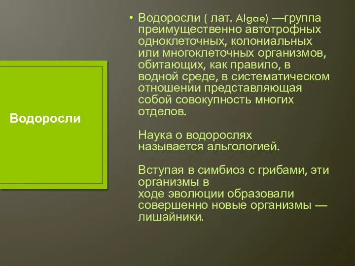 Водоросли ( лат. Algae) —группа преимущественно автотрофных одноклеточных, колониальных или многоклеточных организмов,