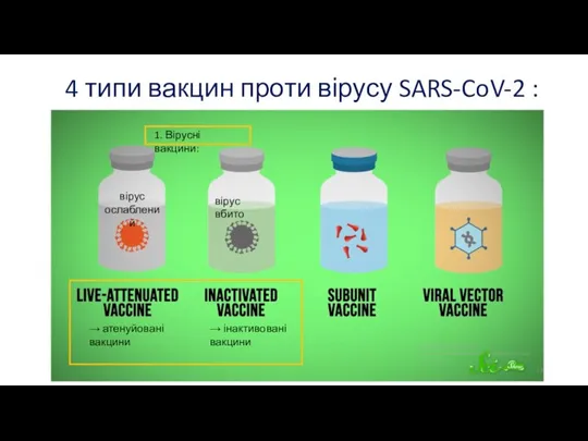 4 типи вакцин проти вірусу SARS-CoV-2 : 1. Вірусні вакцини: → інактивовані
