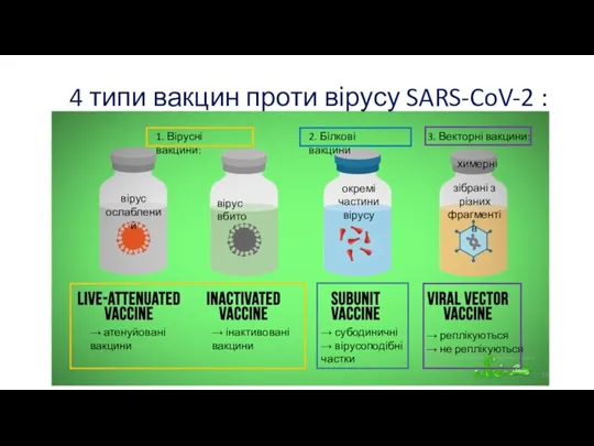 4 типи вакцин проти вірусу SARS-CoV-2 : 1. Вірусні вакцини: → реплікуються
