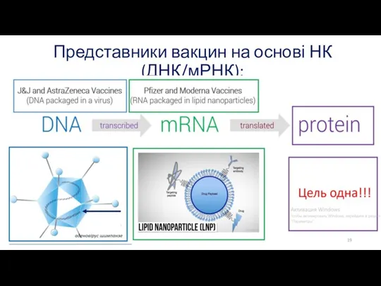 Представники вакцин на основі НК (ДНК/мРНК):