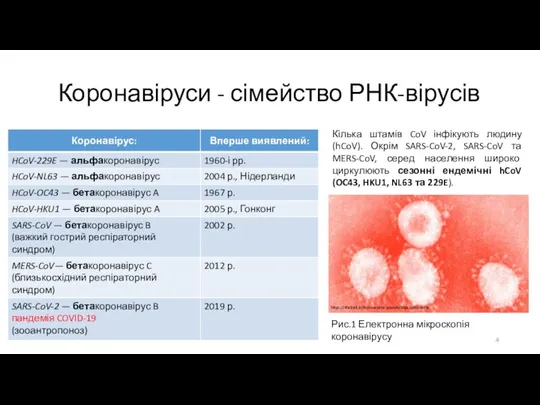 Коронавіруси - сімейство РНК-вірусів https://thebell.io/koronavirus-povody-dlya-optimizma Рис.1 Електронна мікроскопія коронавірусу Кілька штамів CoV