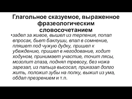 Глагольное сказуемое, выраженное фразеологическим словосочетанием задел за живое, вышел из терпения, попал