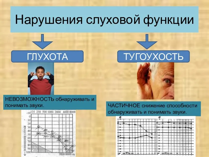 Нарушения слуховой функции ГЛУХОТА ТУГОУХОСТЬ НЕВОЗМОЖНОСТЬ обнаруживать и понимать звуки. ЧАСТИЧНОЕ снижение