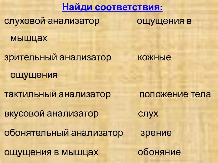 Найди соответствия: слуховой анализатор ощущения в мышцах зрительный анализатор кожные ощущения тактильный