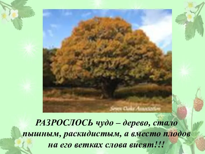 РАЗРОСЛОСЬ чудо – дерево, стало пышным, раскидистым, а вместо плодов на его ветках слова висят!!!