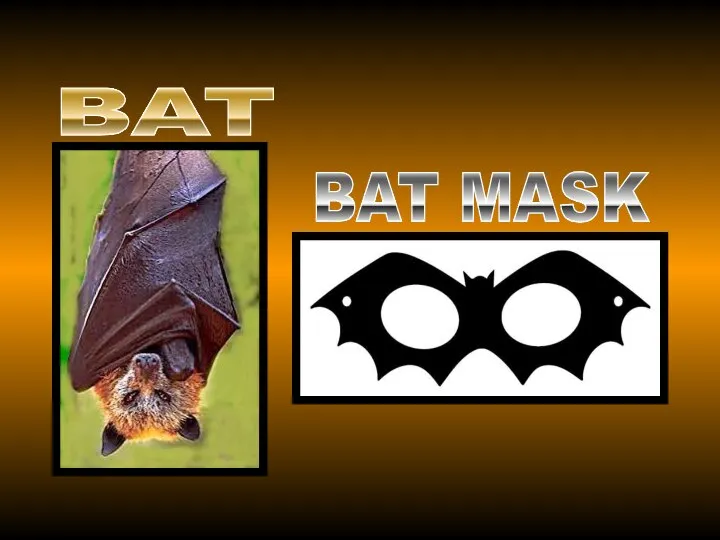 BAT BAT MASK