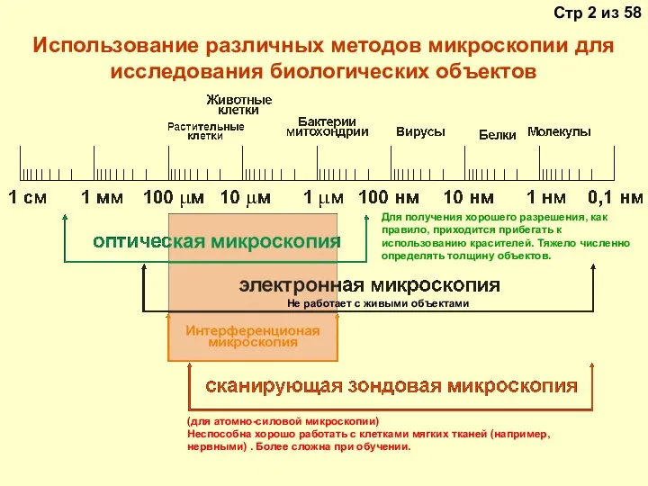 Использование различных методов микроскопии для исследования биологических объектов Для получения хорошего разрешения,