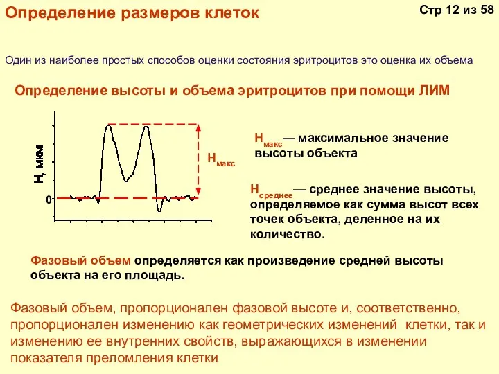 Определение размеров клеток Один из наиболее простых способов оценки состояния эритроцитов это