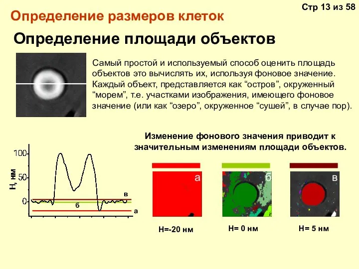 Определение размеров клеток Определение площади объектов Изменение фонового значения приводит к значительным изменениям площади объектов.