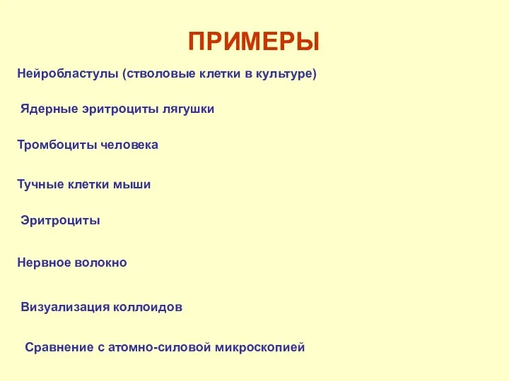 ПРИМЕРЫ Нейробластулы (стволовые клетки в культуре) Тромбоциты человека Ядерные эритроциты лягушки Тучные