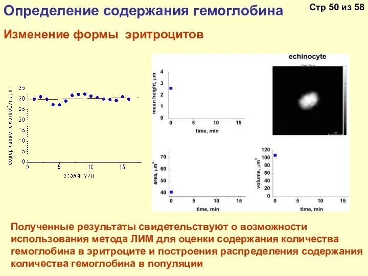 Определение содержания гемоглобина Изменение формы эритроцитов Полученные результаты свидетельствуют о возможности использования