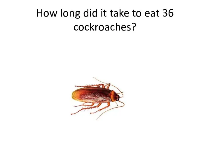How long did it take to eat 36 cockroaches?