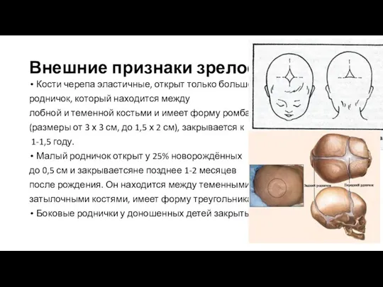 Внешние признаки зрелости Кости черепа эластичные, открыт только большой родничок, который находится