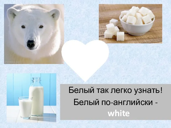 Белый так легко узнать! Белый по-английски - white