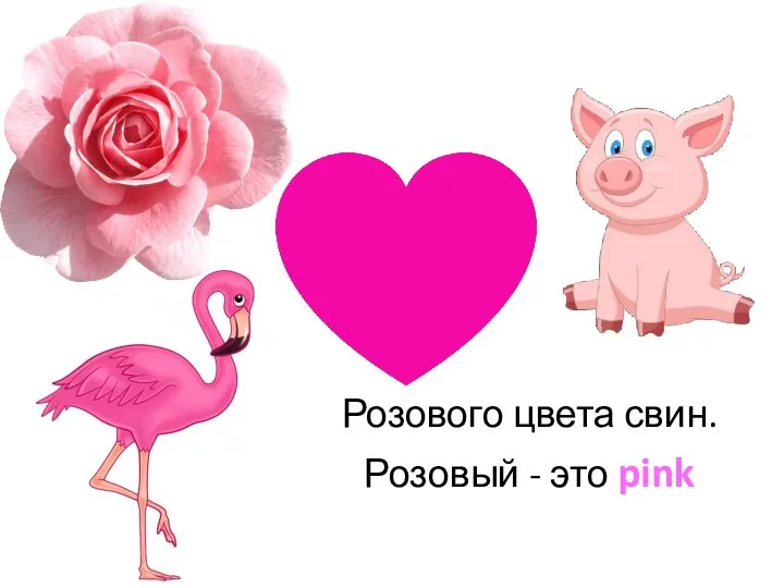 Розового цвета свин. Розовый - это pink