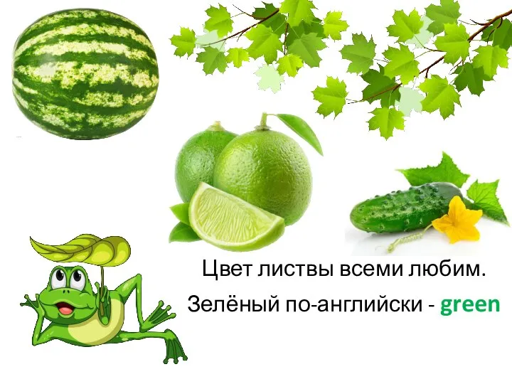 Цвет листвы всеми любим. Зелёный по-английски - green