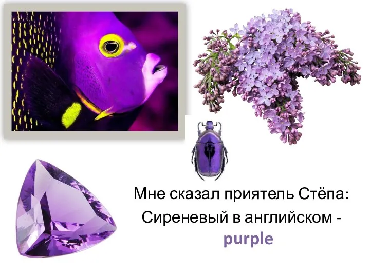 Мне сказал приятель Стёпа: Сиреневый в английском - purple