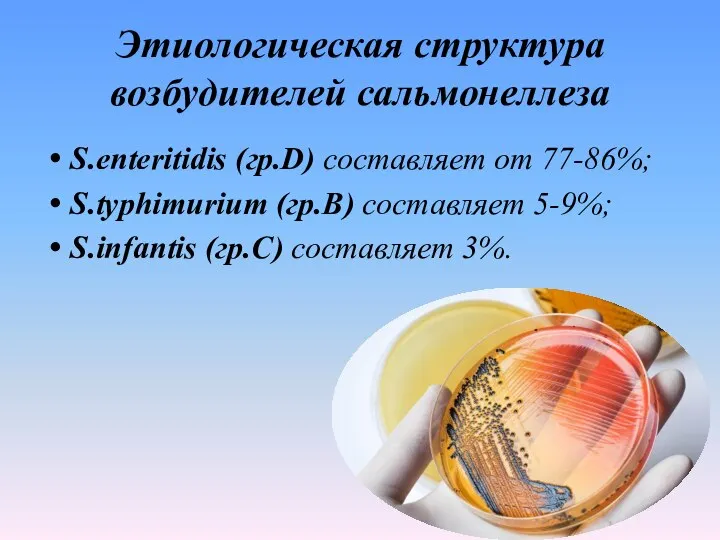 Этиологическая структура возбудителей сальмонеллеза S.enteritidis (гр.D) составляет от 77-86%; S.typhimurium (гр.B) составляет