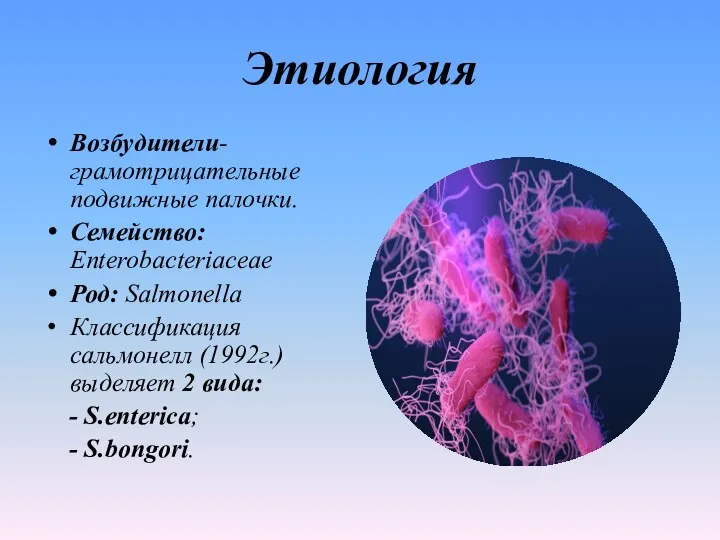 Этиология Возбудители- грамотрицательные подвижные палочки. Семейство: Enterobacteriaceae Род: Salmonella Классификация сальмонелл (1992г.)