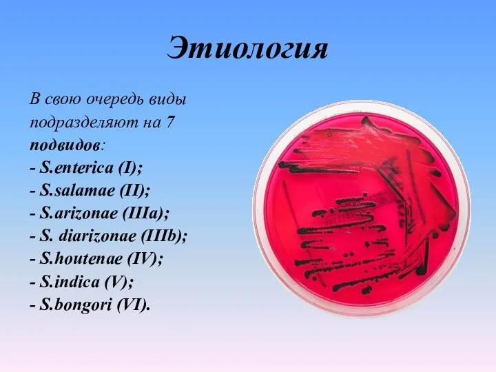 Этиология В свою очередь виды подразделяют на 7 подвидов: - S.enterica (I);