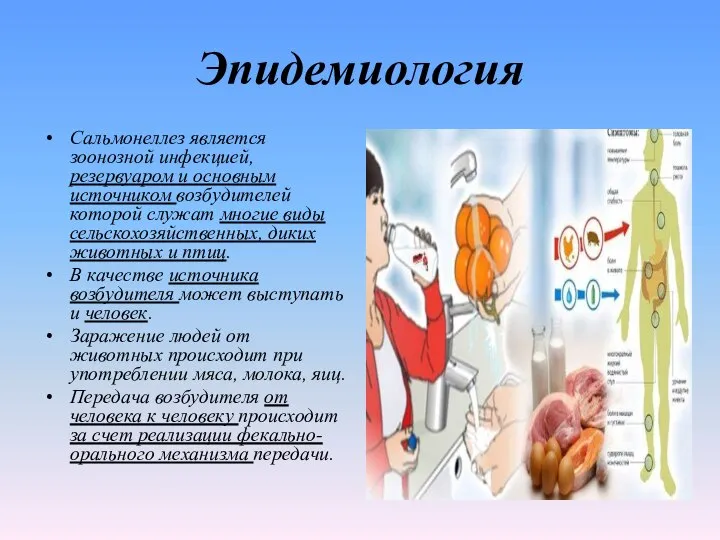 Эпидемиология Сальмонеллез является зоонозной инфекцией, резервуаром и основным источником возбудителей которой служат