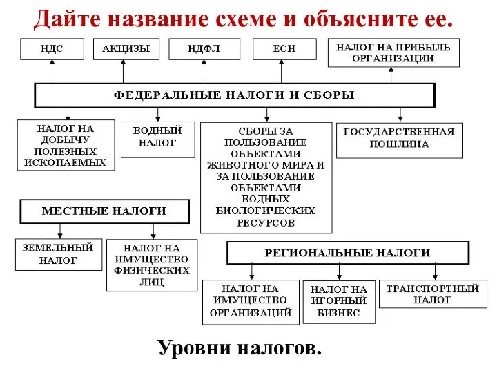 Дайте название схеме и объясните ее. Уровни налогов.