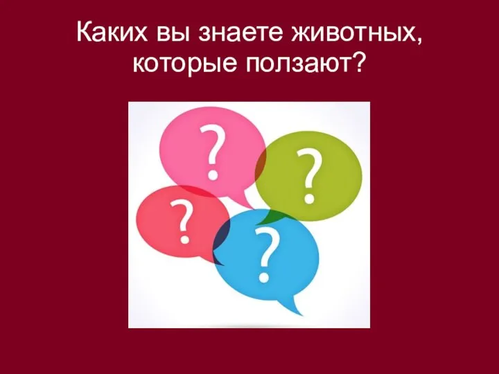 Каких вы знаете животных, которые ползают?