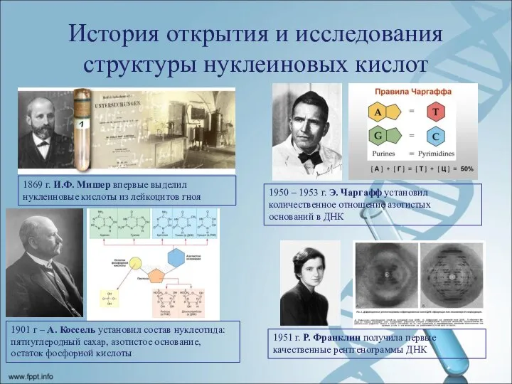 История открытия и исследования структуры нуклеиновых кислот 1869 г. И.Ф. Мишер впервые