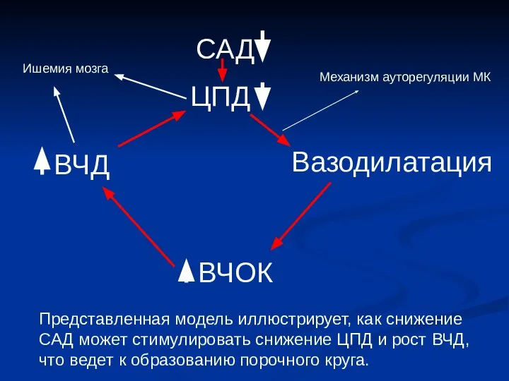 САД ЦПД Вазодилатация ВЧОК ВЧД Представленная модель иллюстрирует, как снижение САД может