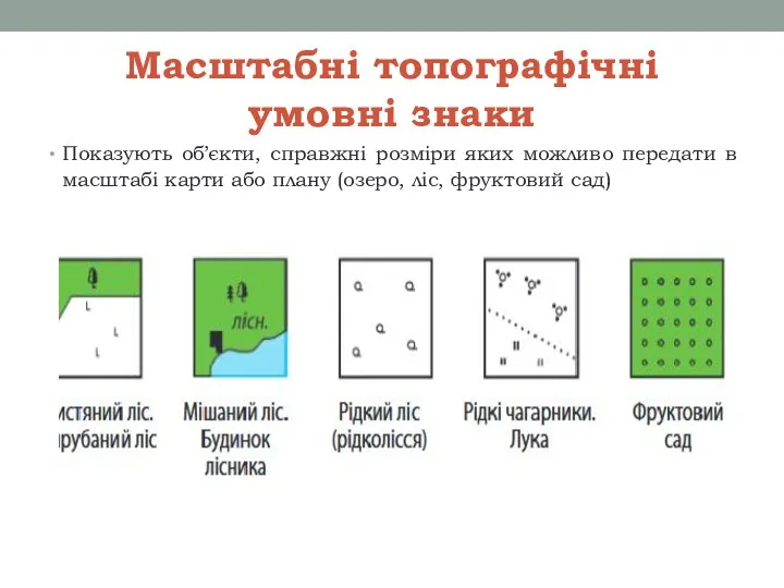 Масштабні топографічні умовні знаки Показують об’єкти, справжні розміри яких можливо передати в