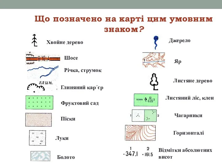 Що позначено на карті цим умовним знаком? Хвойне дерево Шосе Річка, струмок