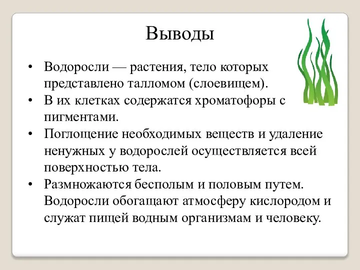 Водоросли — растения, тело которых представлено талломом (слоевищем). В их клетках содержатся