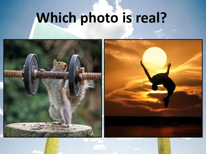 Which photo is real?