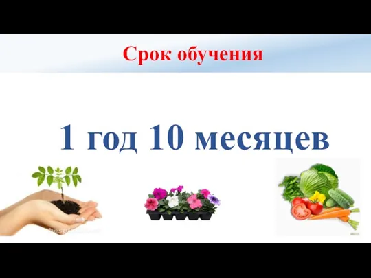 Срок обучения 1 год 10 месяцев