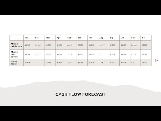 CASH FLOW FORECAST