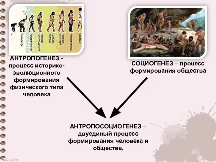 АНТРОПОГЕНЕЗ - процесс историко-эволюционного формирования физического типа человека СОЦИОГЕНЕЗ – процесс формирования