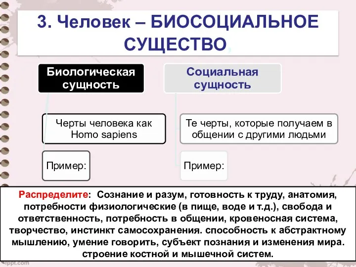 3. Человек – БИОСОЦИАЛЬНОЕ СУЩЕСТВО, Распределите: Сознание и разум, готовность к труду,