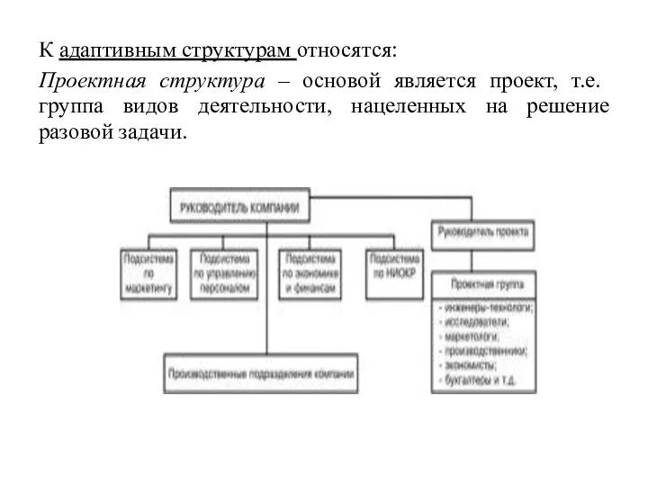 К адаптивным структурам относятся: Проектная структура – основой является проект, т.е. группа