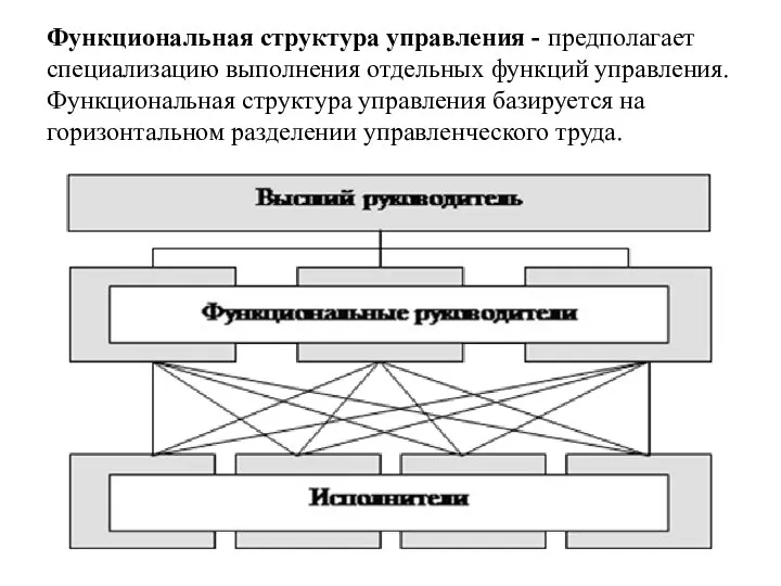 Функциональная структура управления - предполагает специализацию выполнения отдельных функций управления. Функциональная структура