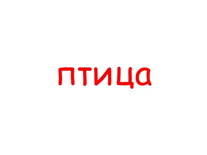 птица