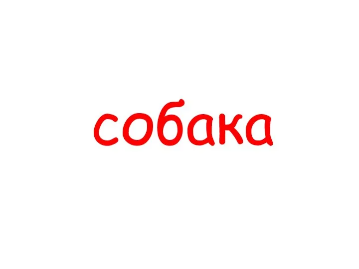 собака