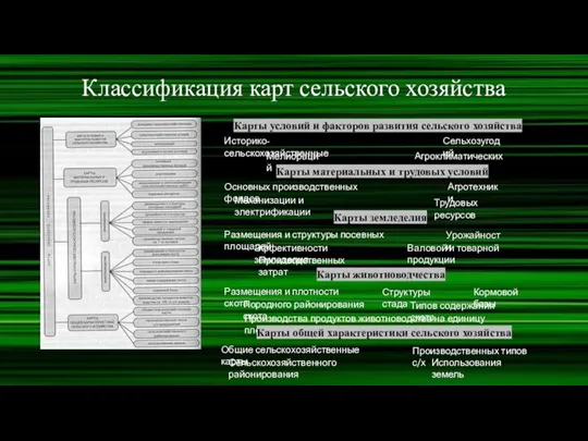 Классификация карт сельского хозяйства Карты условий и факторов развития сельского хозяйства Историко-сельскохозяйственные