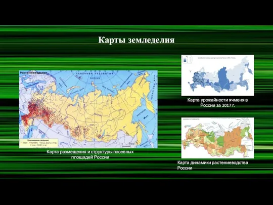 Карты земледелия Карта размещения и структуры посевных площадей России Карта урожайности ячменя