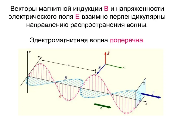 Векторы магнитной индукции В и напряженности электрического поля Е взаимно перпендикулярны направлению