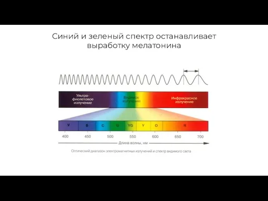 Синий и зеленый спектр останавливает выработку мелатонина