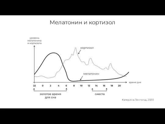 Мелатонин и кортизол Катерина Ленгольд, 2020